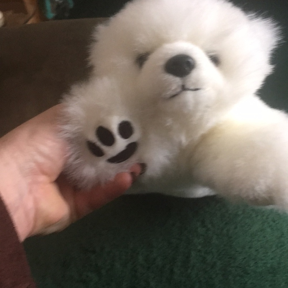 Ty beanie ,chilly bear
